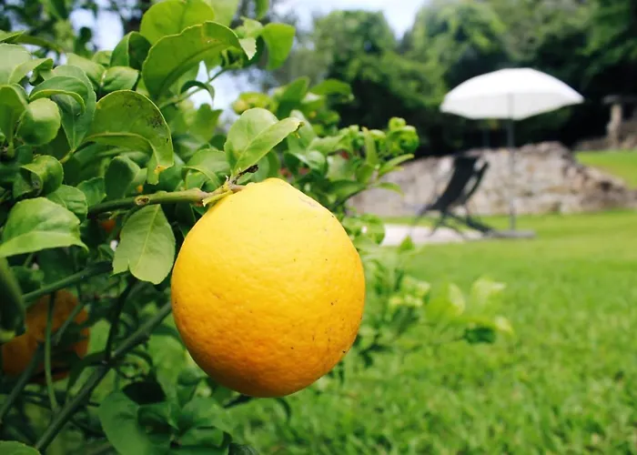 Casa De Gandra Дом отдыха *